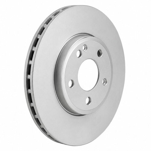 Disco delantero bilateral ventilado 295mm