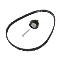 Kit de distribucion polea