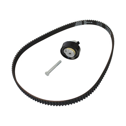 Kit de distribucion polea