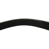 Correa trapecial poli V · 03C260849