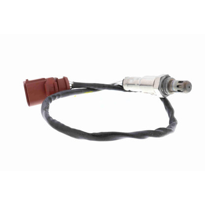 Sensor de oxigeno
