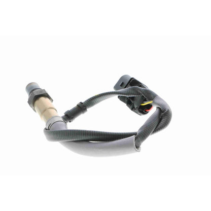 Sensor de oxigeno