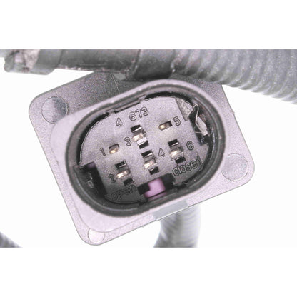Sensor de oxigeno