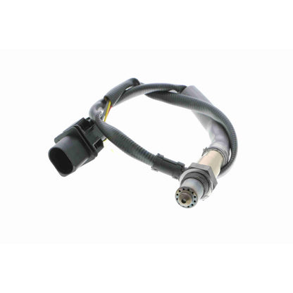 Sensor de oxigeno
