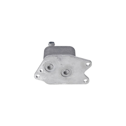 Radiador de aceite 09G409061B
