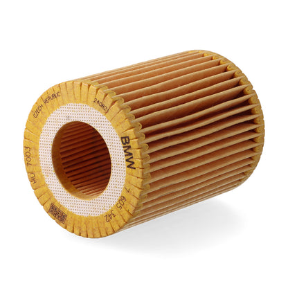 Filtro de aceite para motor