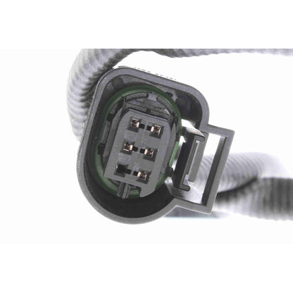 Sensor de oxigeno