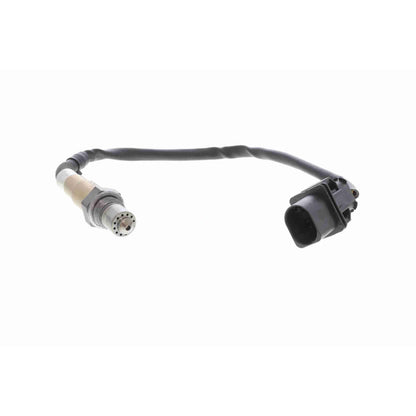 Sensor de oxigeno