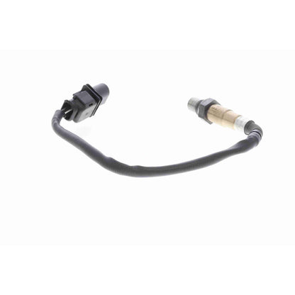 Sensor de oxigeno