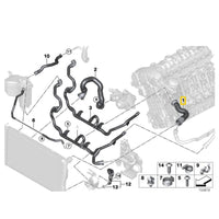 Manguera de radiador superior · 17127540127