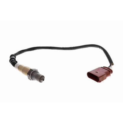 Sensor de oxigeno