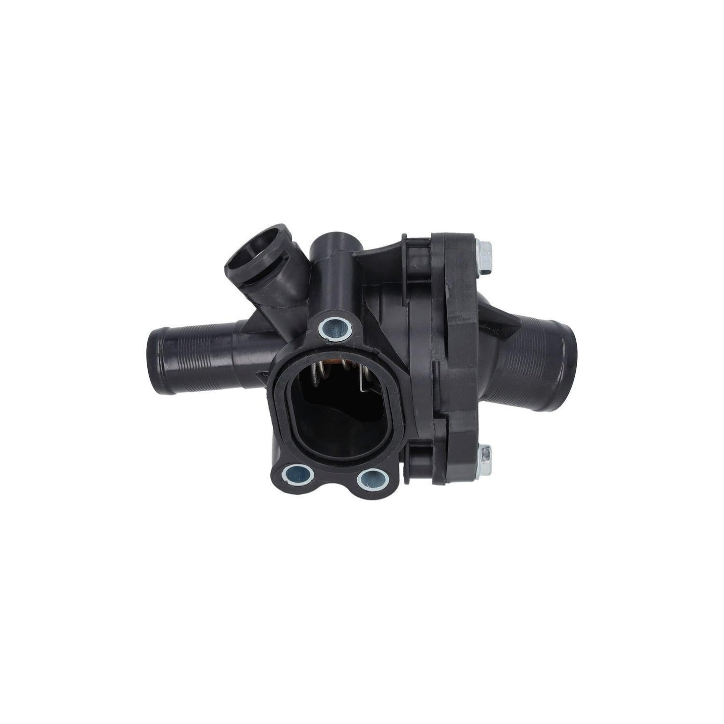 Termostato con base 31319606