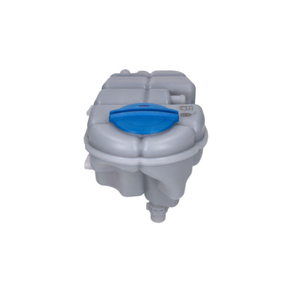 Deposito anticongelante con tapon