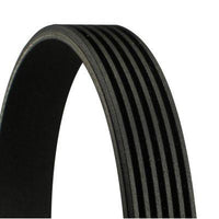 Banda principal de motor · 6PK1003