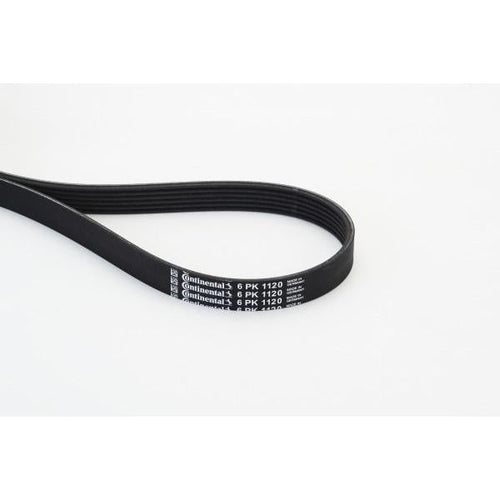 Correa Trapecial Poli V · 6PK1120