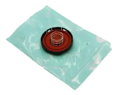 Tapa de punterias