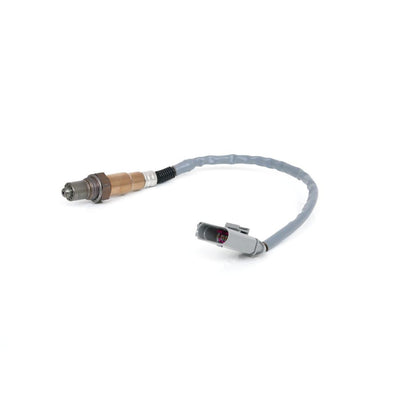 Sensor de oxigeno