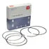 Kit de anillos por piston